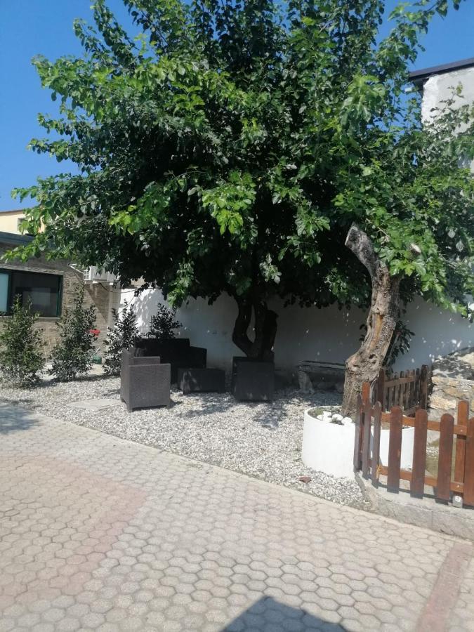 Vila Oasi Erika Paestum Exteriér fotografie